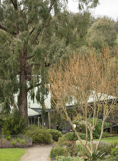 yarra valley estate