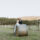 bride and groom sitting on a large hay bale with a stunning yarra valley backdrop