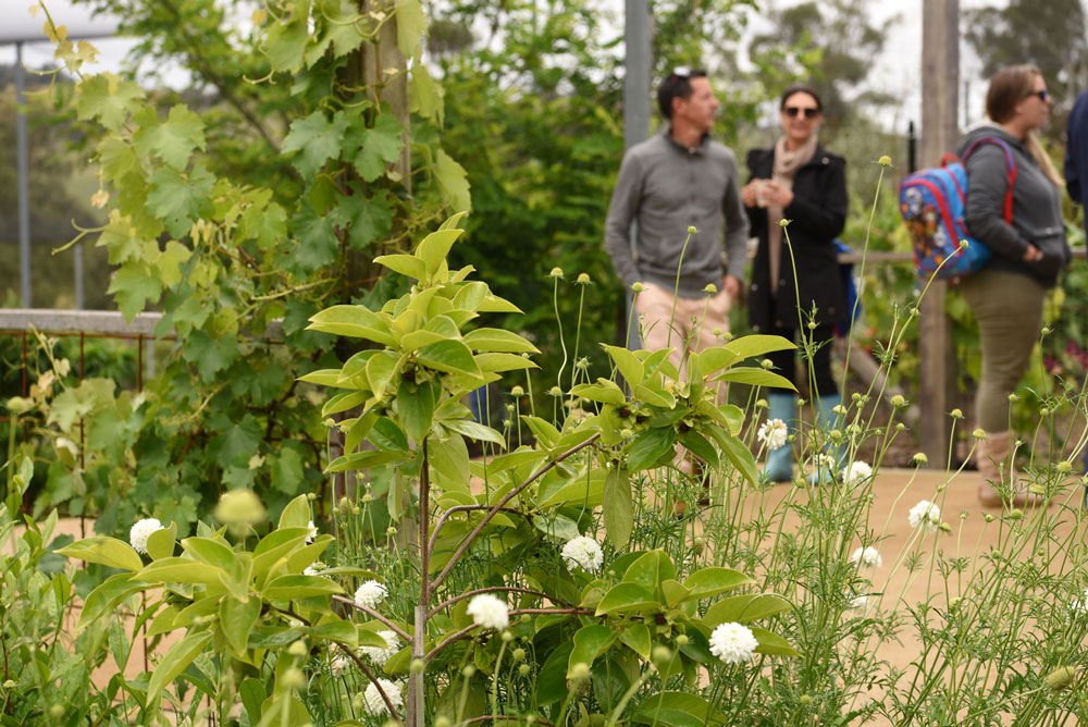 edible forest tour