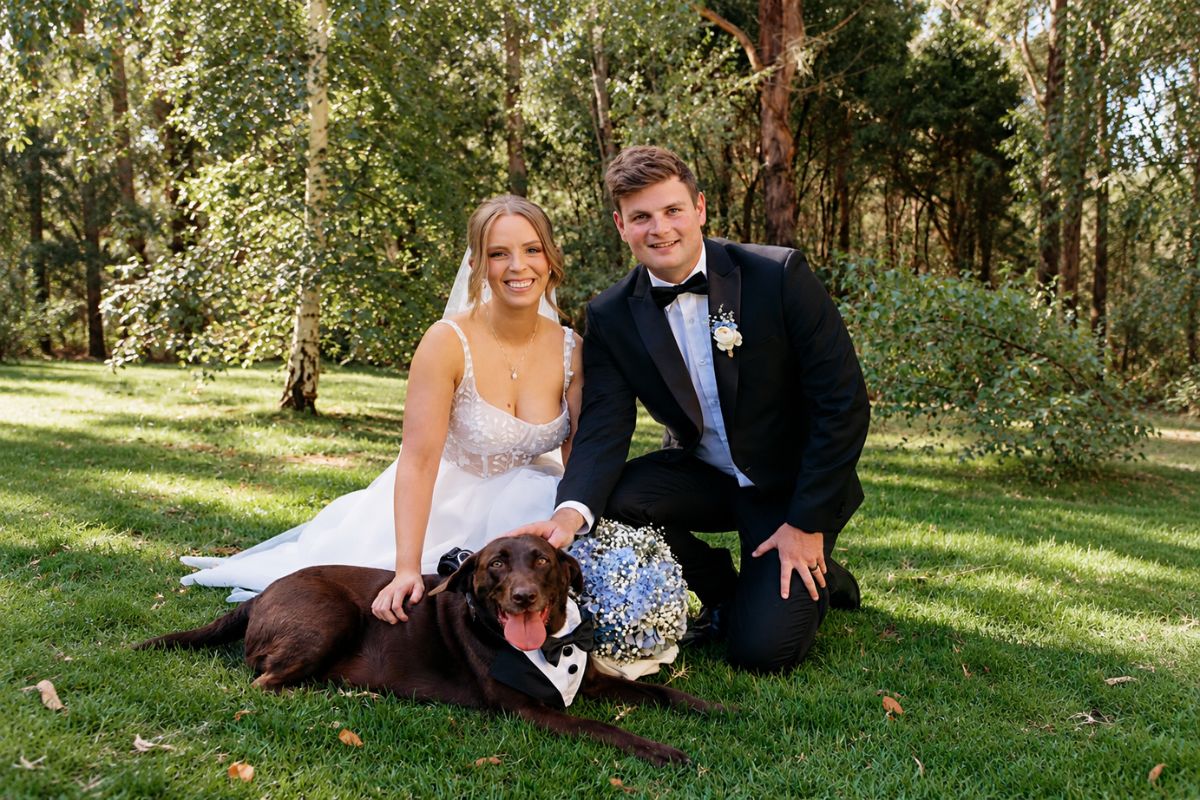 dog friendly weddings