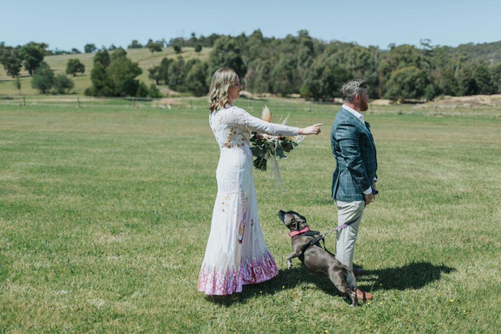 dog friendlyweddings